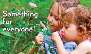 something-for-everyone